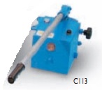 C113  ������ �����