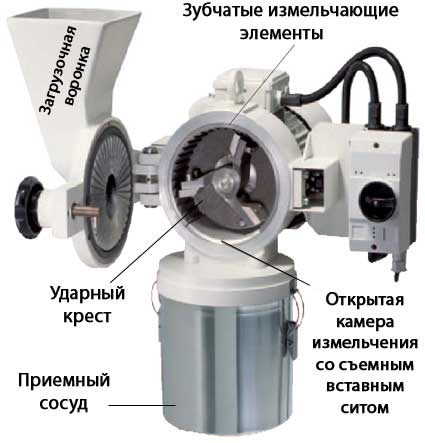 16_01.jpg