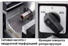 P19_1.jpg